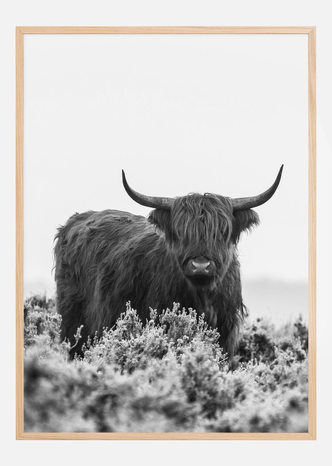 Product Image for Highlander BW Plakat (50x70 cm)