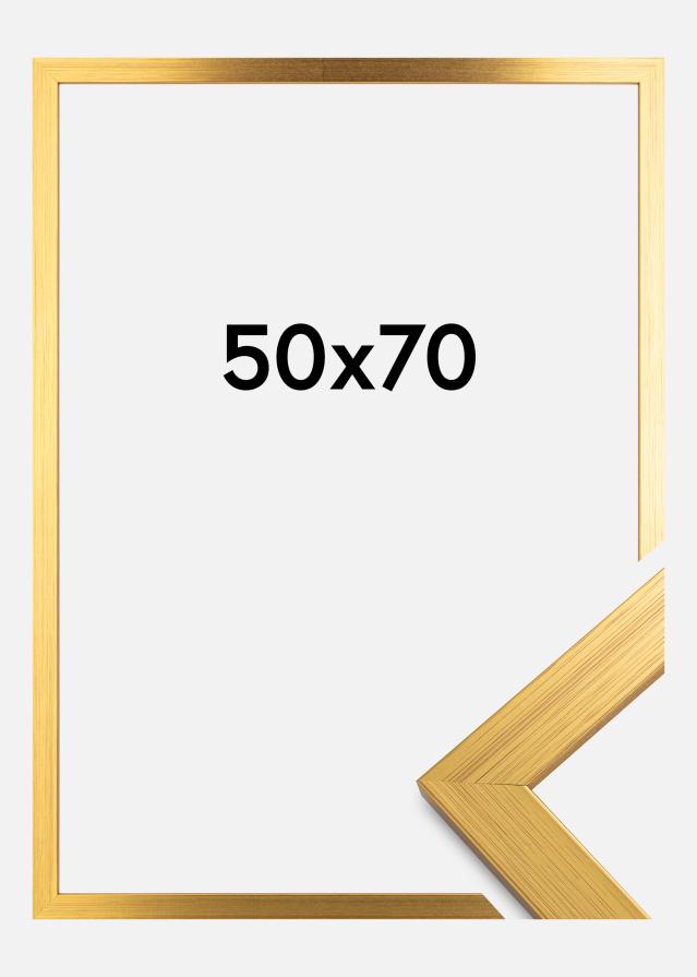 Ramme Gold Wood Antirefleks 50x70 cm