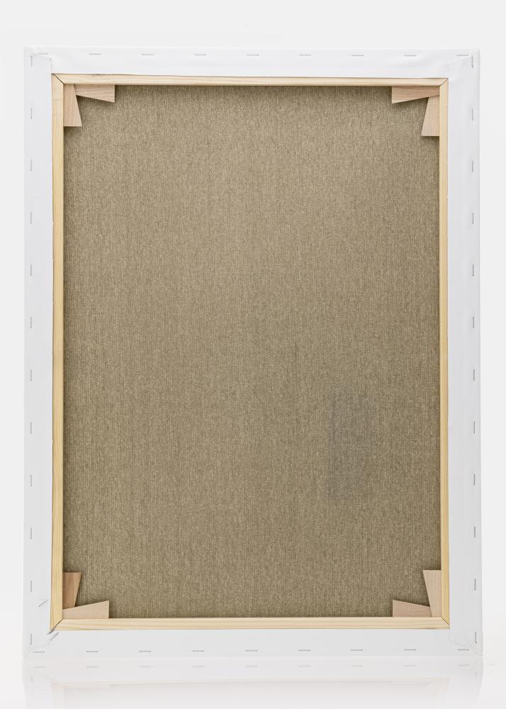 Malerlærred Premium Hvid 60x80 cm