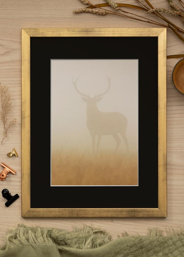 Ramme Stilren Guld 70x100 cm - Passepartout Sort 59,4x84 cm (A1)