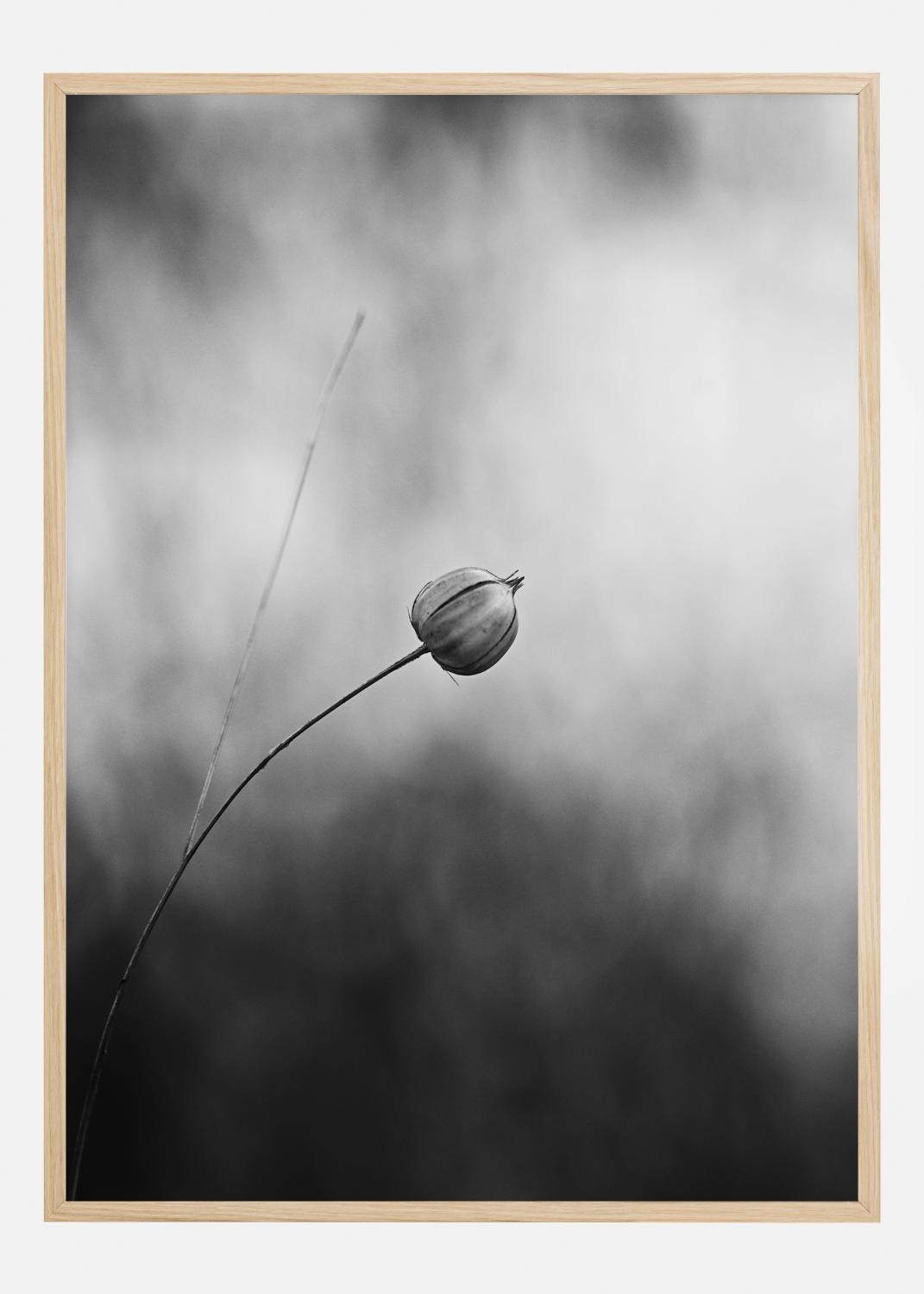 Product Image for Flax After Flowering Plakat (21x29.7 cm (A4))