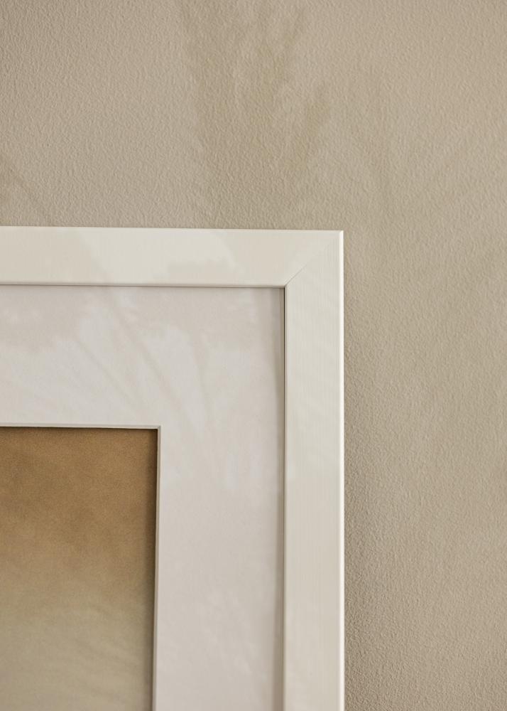 Ramme Trendline Akrylglas Hvid 30x70 cm