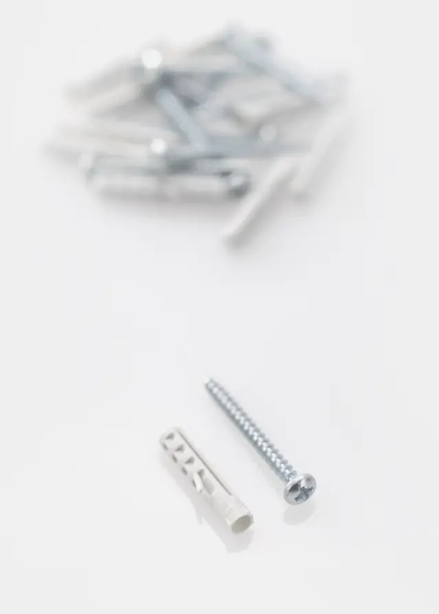 Rawplugs 30 x 6 mm med skrue 10-p