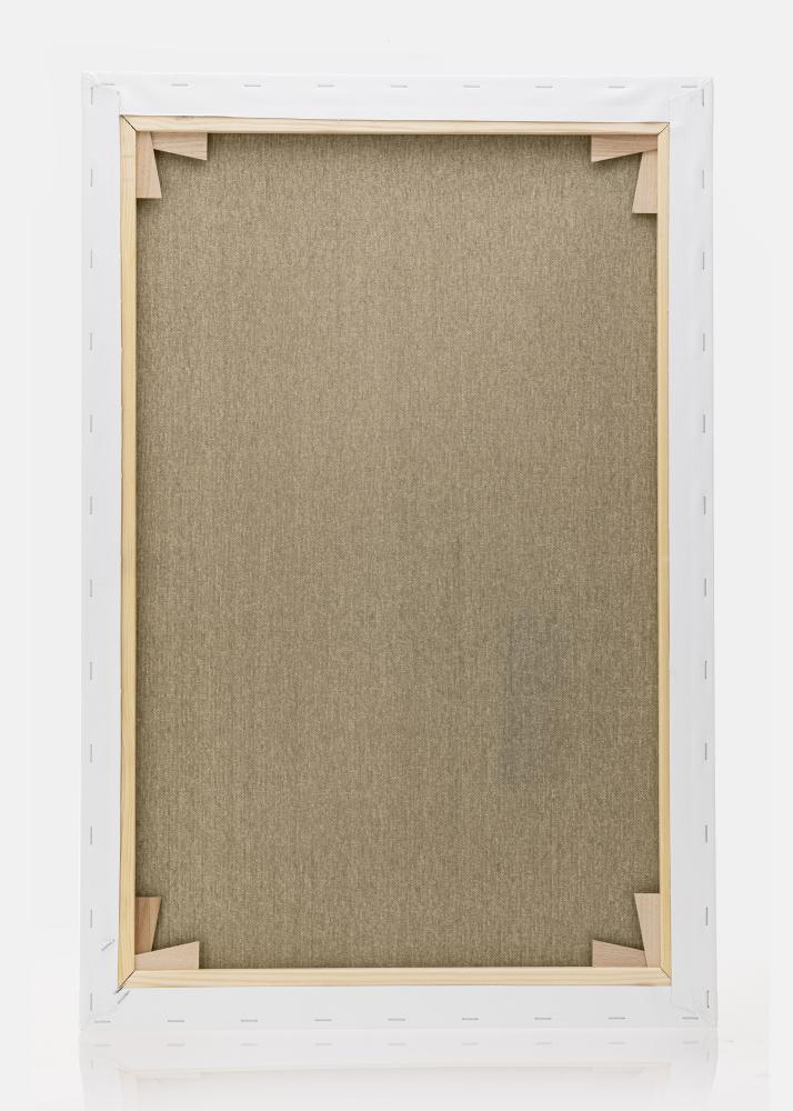 Malerlærred Premium Hvid 80x120 cm