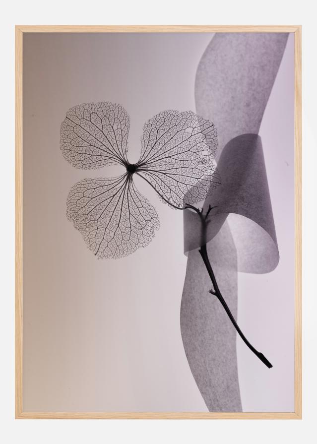 Flower Plakat