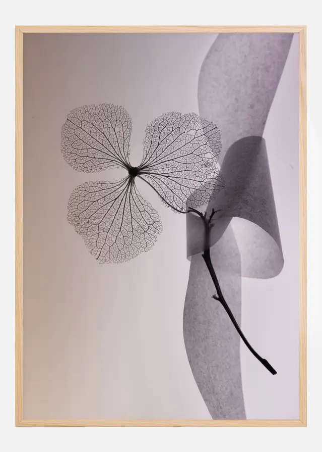 Flower Plakat