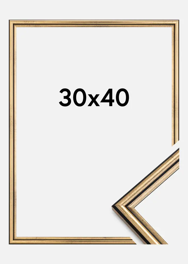 Ramme Horndal Akrylglas Guld 30x40 cm