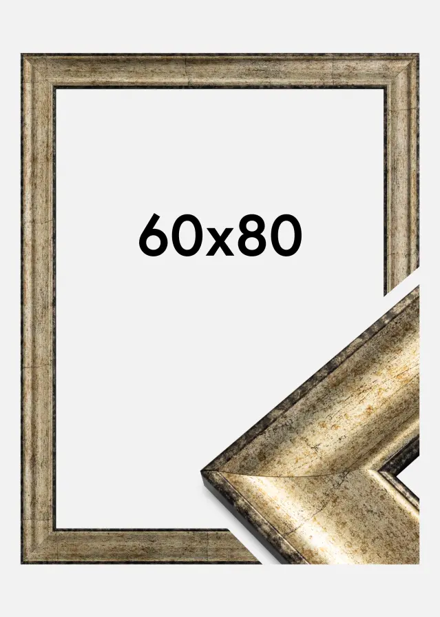 Ramme Saltsøbadet Antikguld 60x80 cm