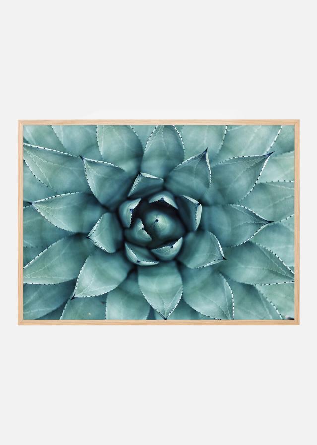 Turkis Blomst Plakat