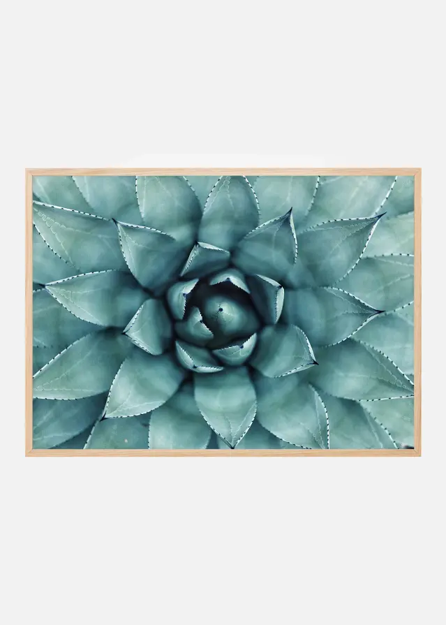 Turkis Blomst Plakat