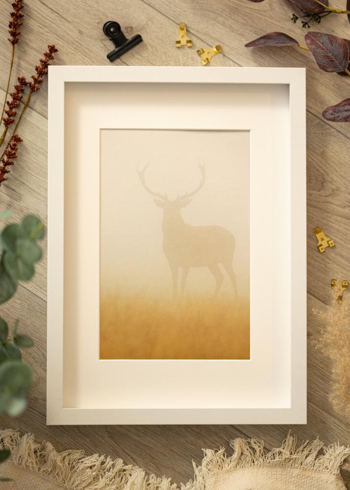 BGA Boksramme Akrylglas Hvid 40x60 cm