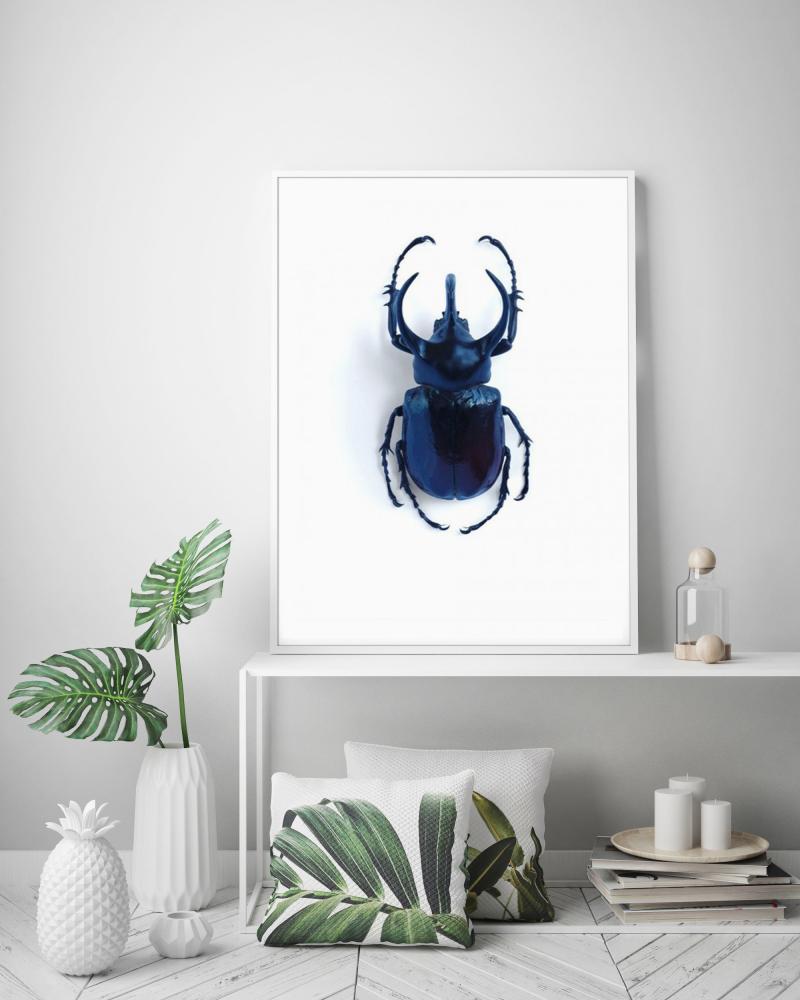 Skalbagge - 50x70 cm