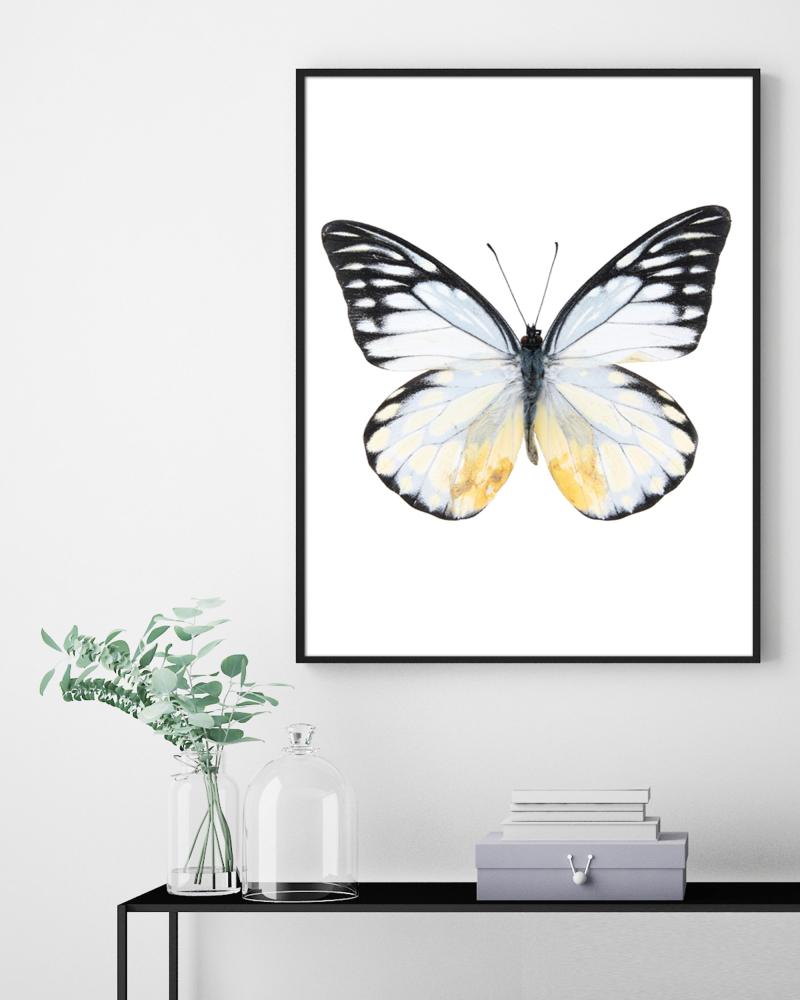 Sommerfugl- 50x70 cm