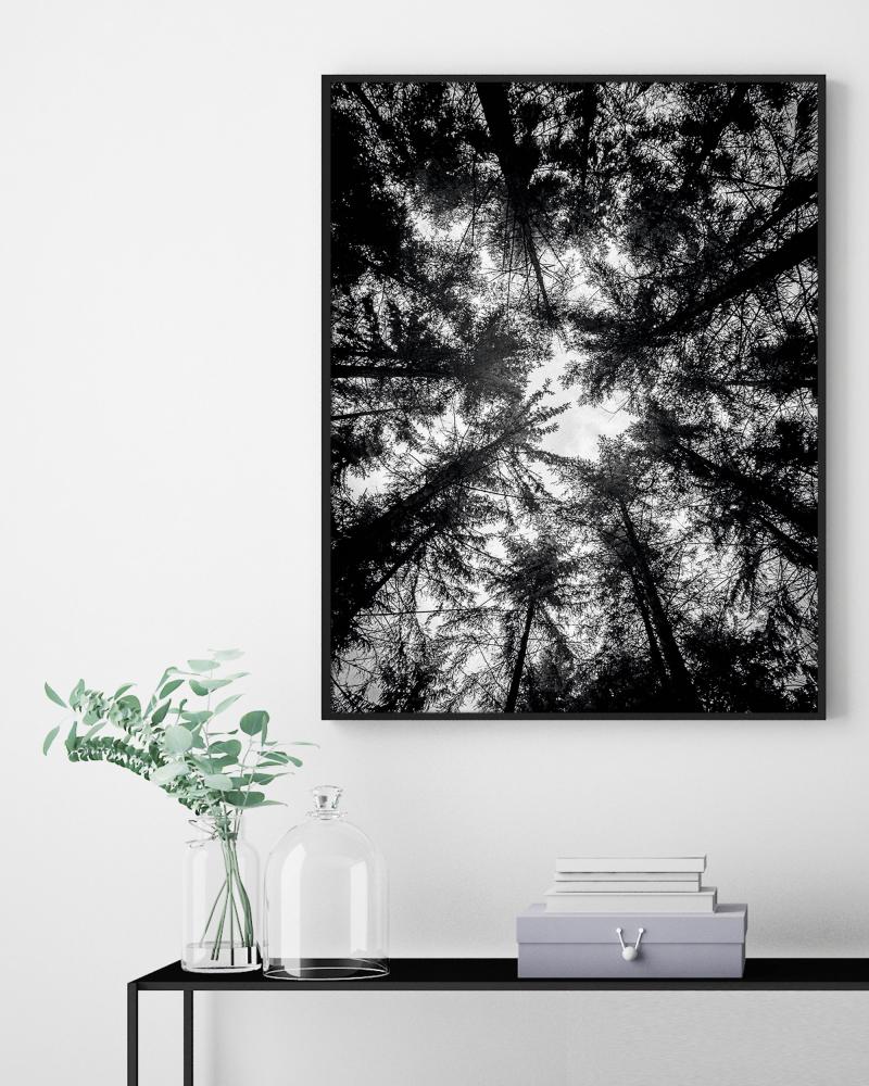 The Treetops - 42x59,4 cm (A2)