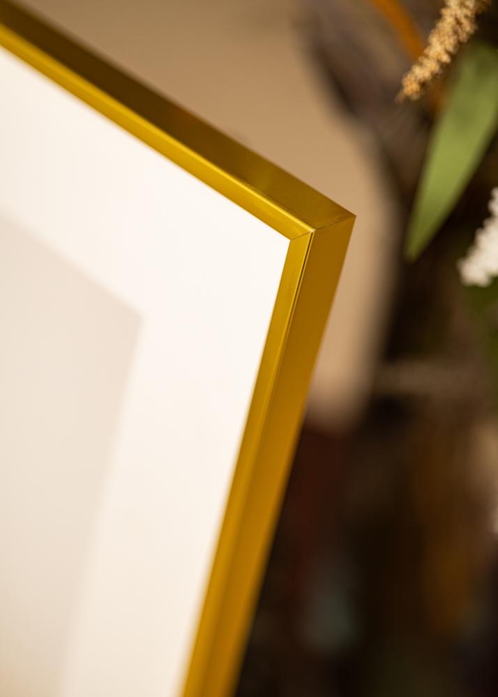 Aluminiumramme Akrylglas Guld 21x29,7 cm (A4)