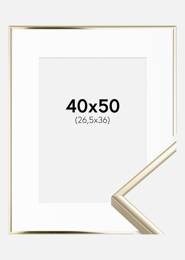 Ramme Aluminium Blank Guld 40x50 cm - Passepartout Hvid 27,5x37 cm