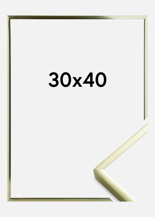Ramme Aluminum Gold 30x40 cm