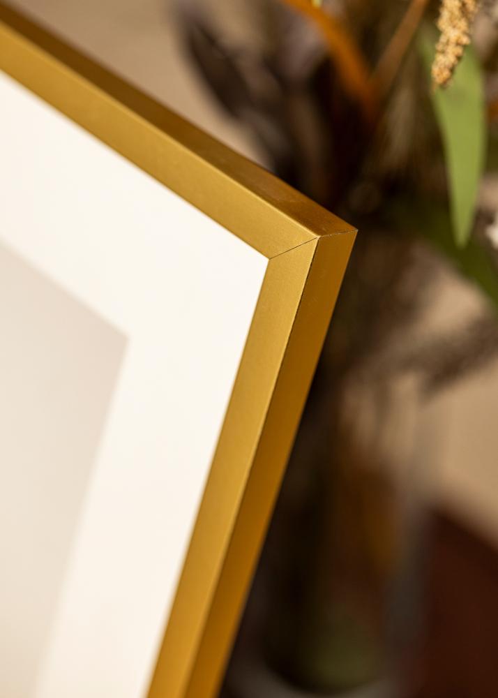 Ramme Minerva Akrylglas Guld 50x70 cm