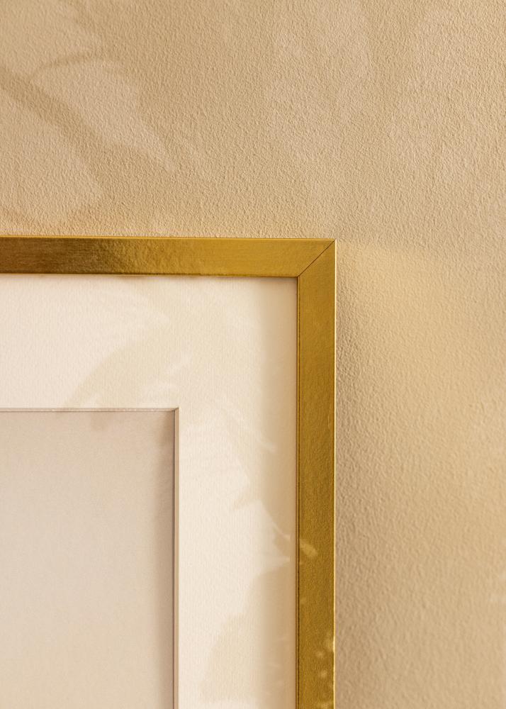 Ramme Minerva Akrylglas Guld 50x70 cm