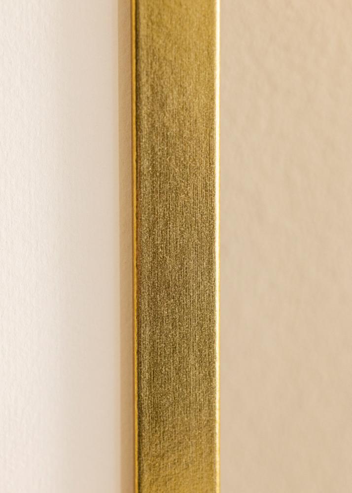 Ramme Minerva Akrylglas Guld 50x70 cm