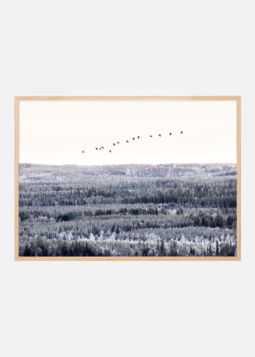 Product Image for Follow me into the world Plakat (30x40 cm)