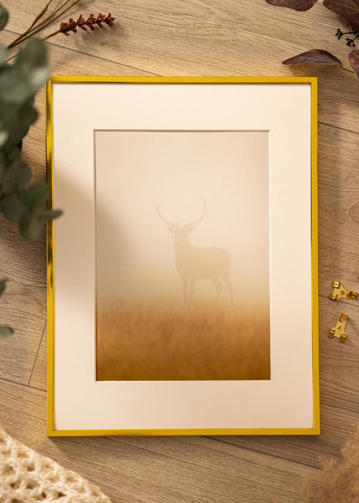 Aluminiumramme Akrylglas Guld 21x29,7 cm (A4)