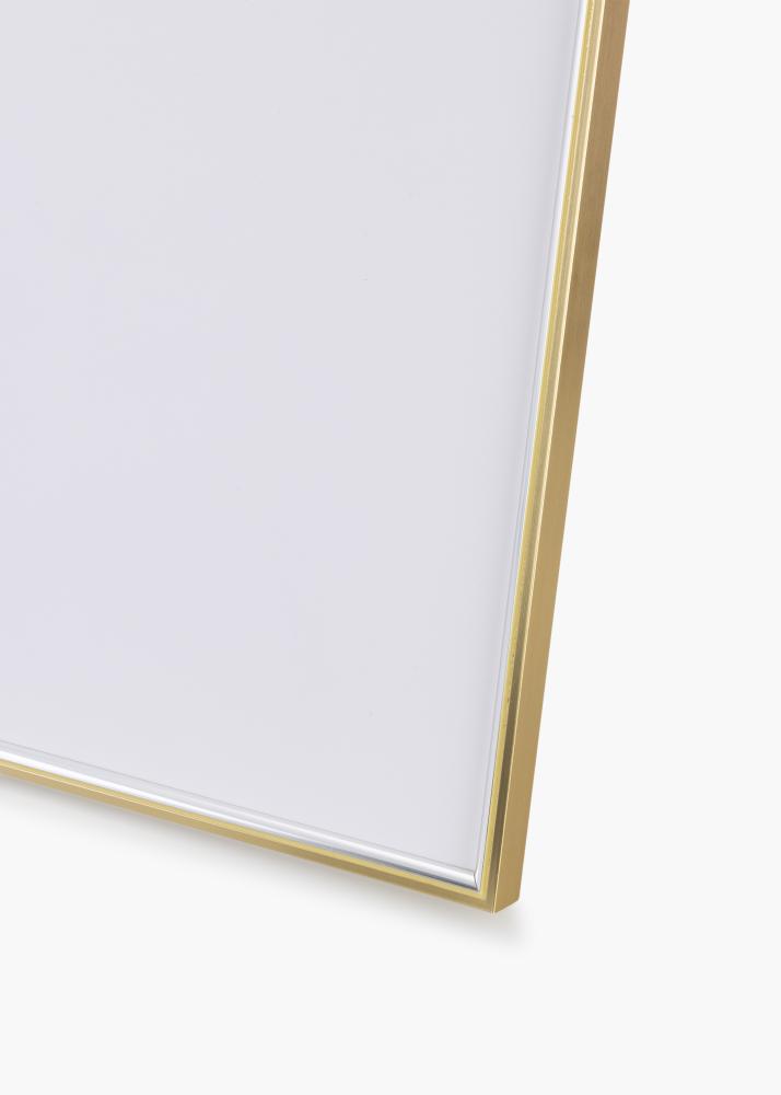 Ramme Hipster Akrylglas Guld-Sølv 60x80 cm