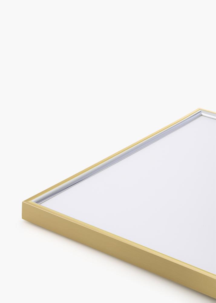 Ramme Hipster Akrylglas Guld-Sølv 60x80 cm