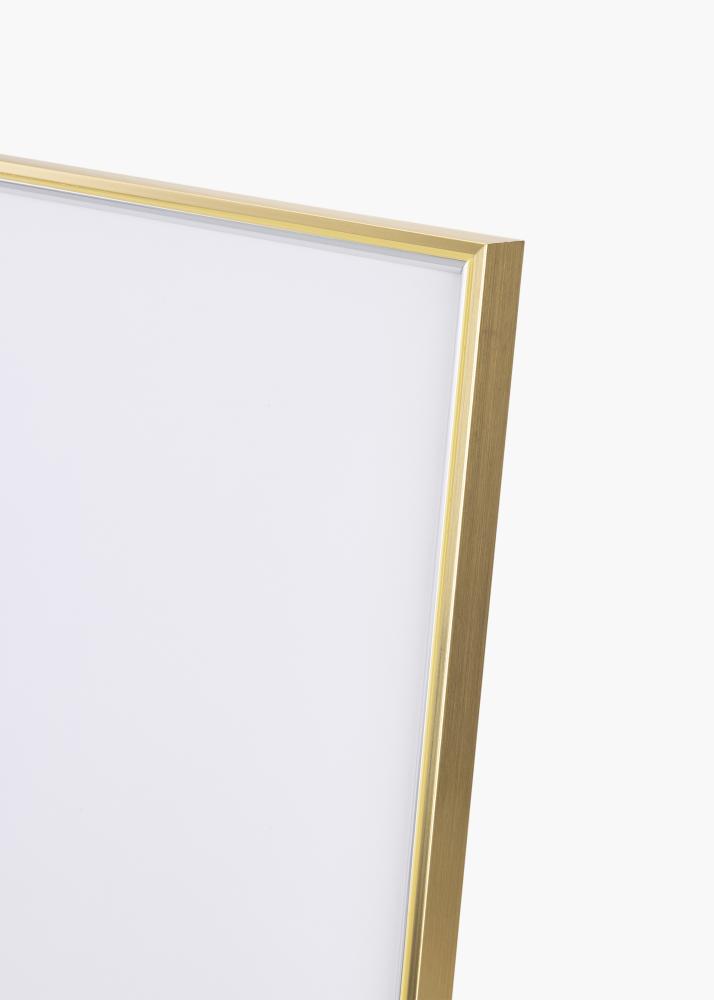 Ramme Hipster Akrylglas Guld-Sølv 60x80 cm
