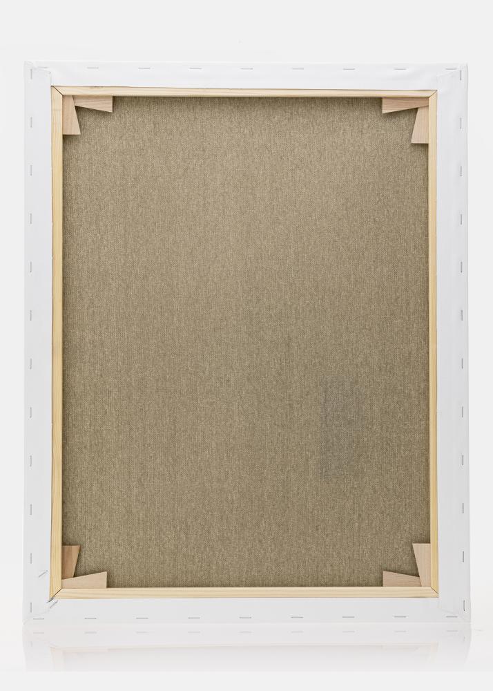 Malerlærred Premium Hvid 40x50 cm