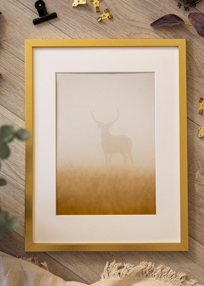 Ramme Minerva Akrylglas Guld 50x70 cm