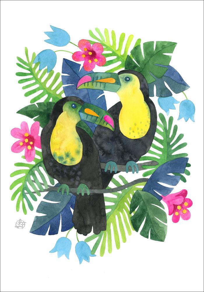 Tucan