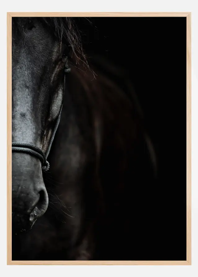 Dark Horse Plakat