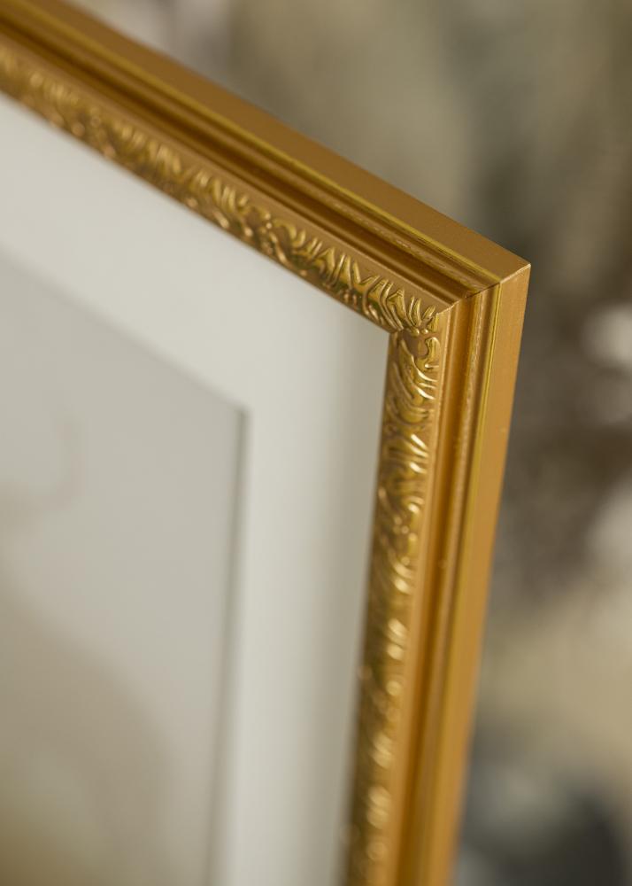 Ramme Nostalgia Akrylglas Guld 62x85 cm