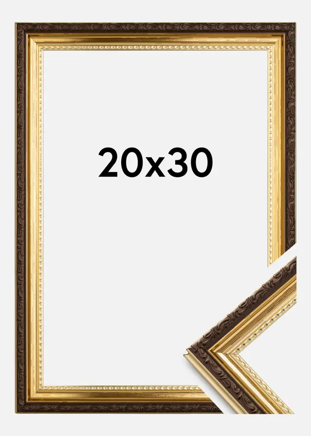 Ramme Abisko Akrylglas Guld 20x30 cm
