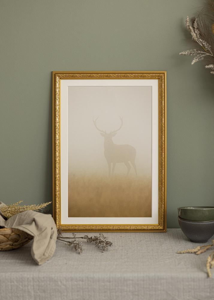 Ramme Nostalgia Akrylglas Guld 62x85 cm