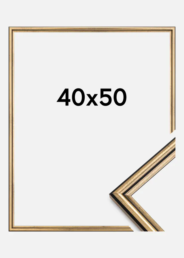 Ramme Horndal Guld 40x50 cm