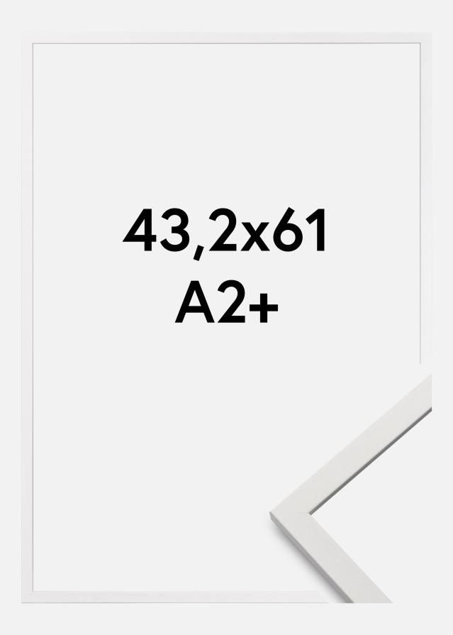 Ramme Edsbyn Hvid 43,2x61 cm (A2+)