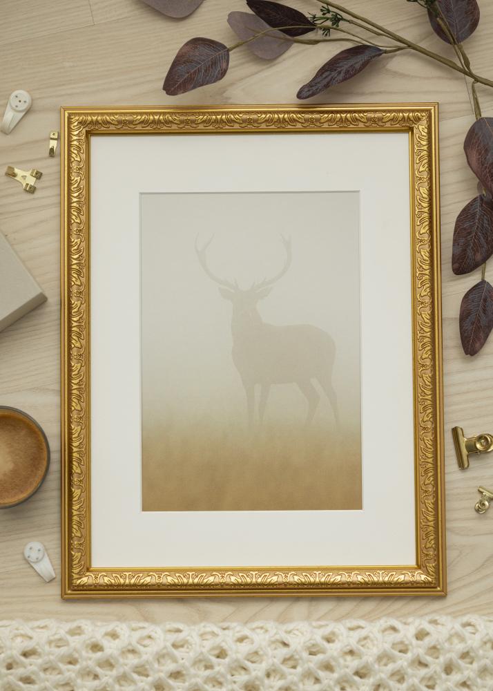 Ramme Nostalgia Akrylglas Guld 62x85 cm