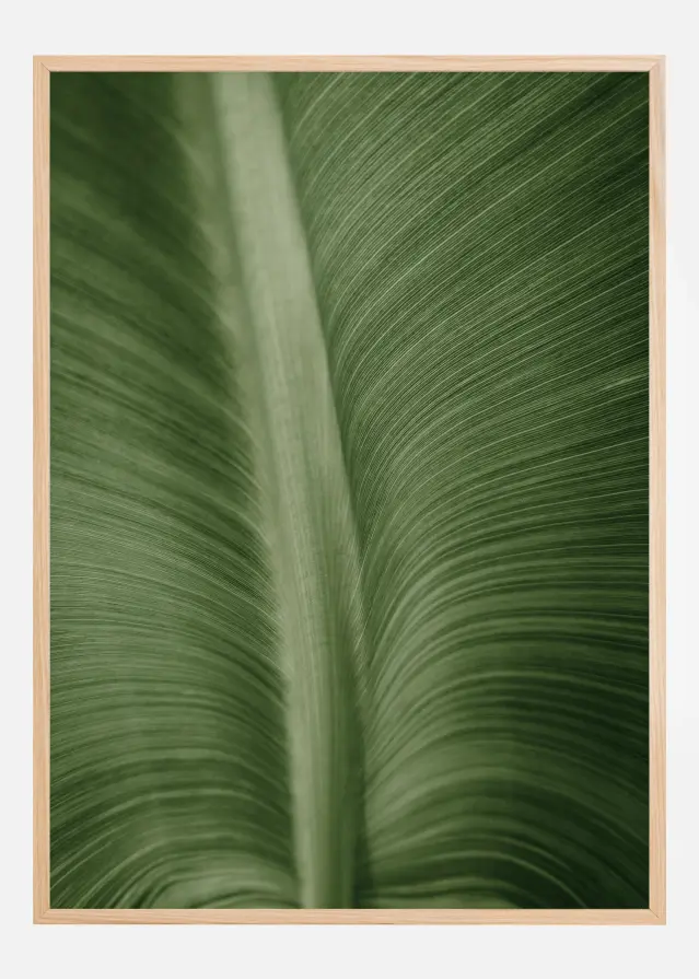 Structure Of Leaves Plakat