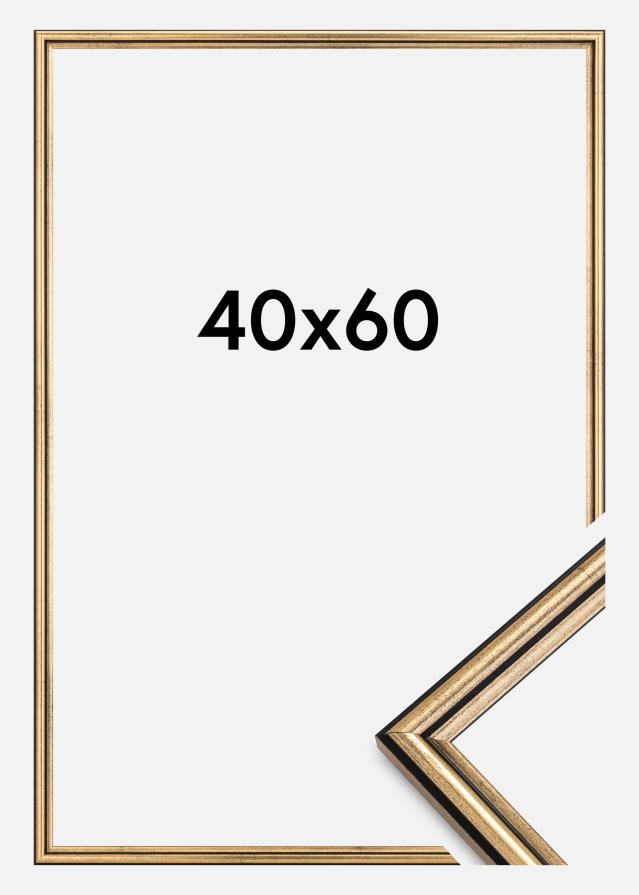 Ramme Horndal Guld 40x60 cm