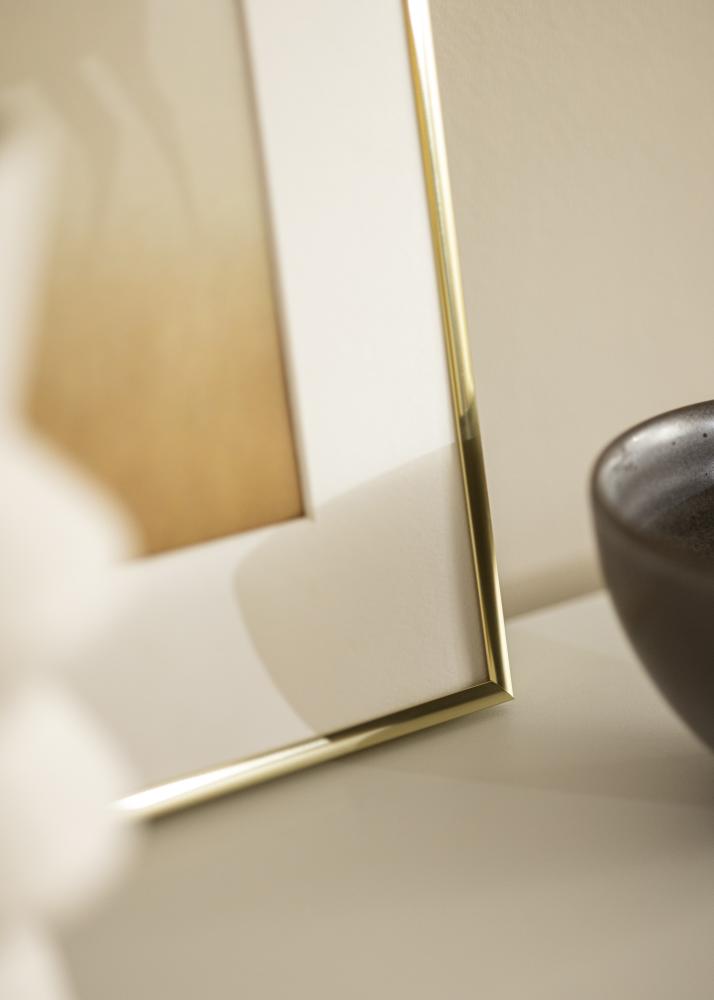 Ramme Visby Akrylglas Blank Guld 50x70 cm