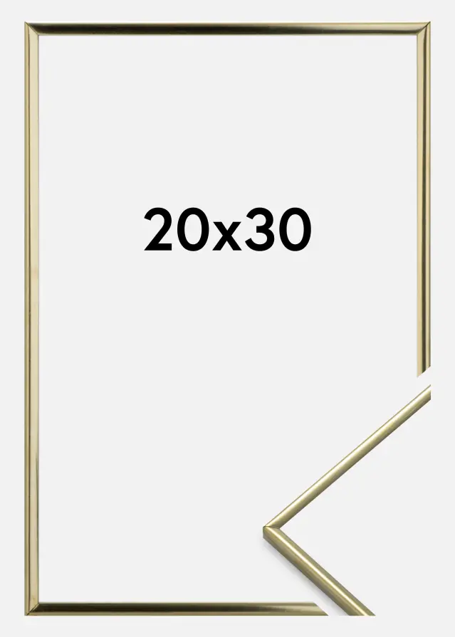 Ramme Glat metal Guld 20x30 cm