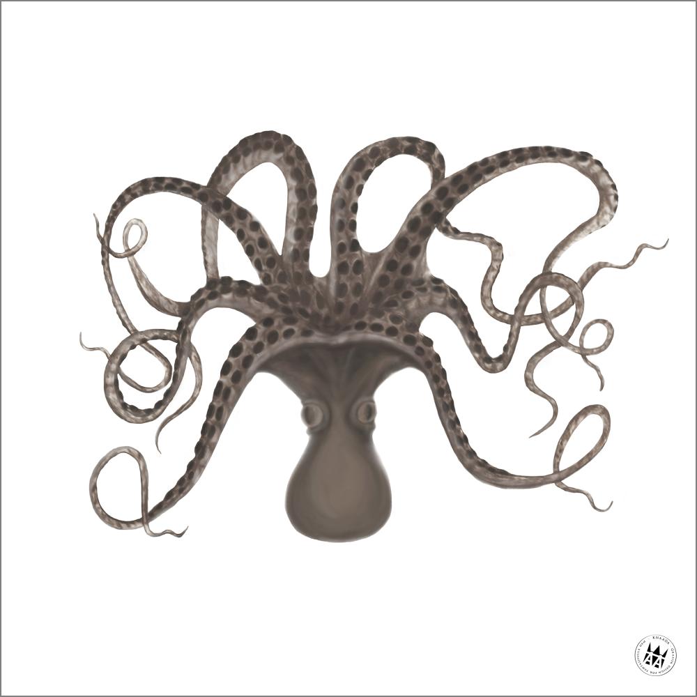 Knaada - Blæksprutte - 50x50 cm