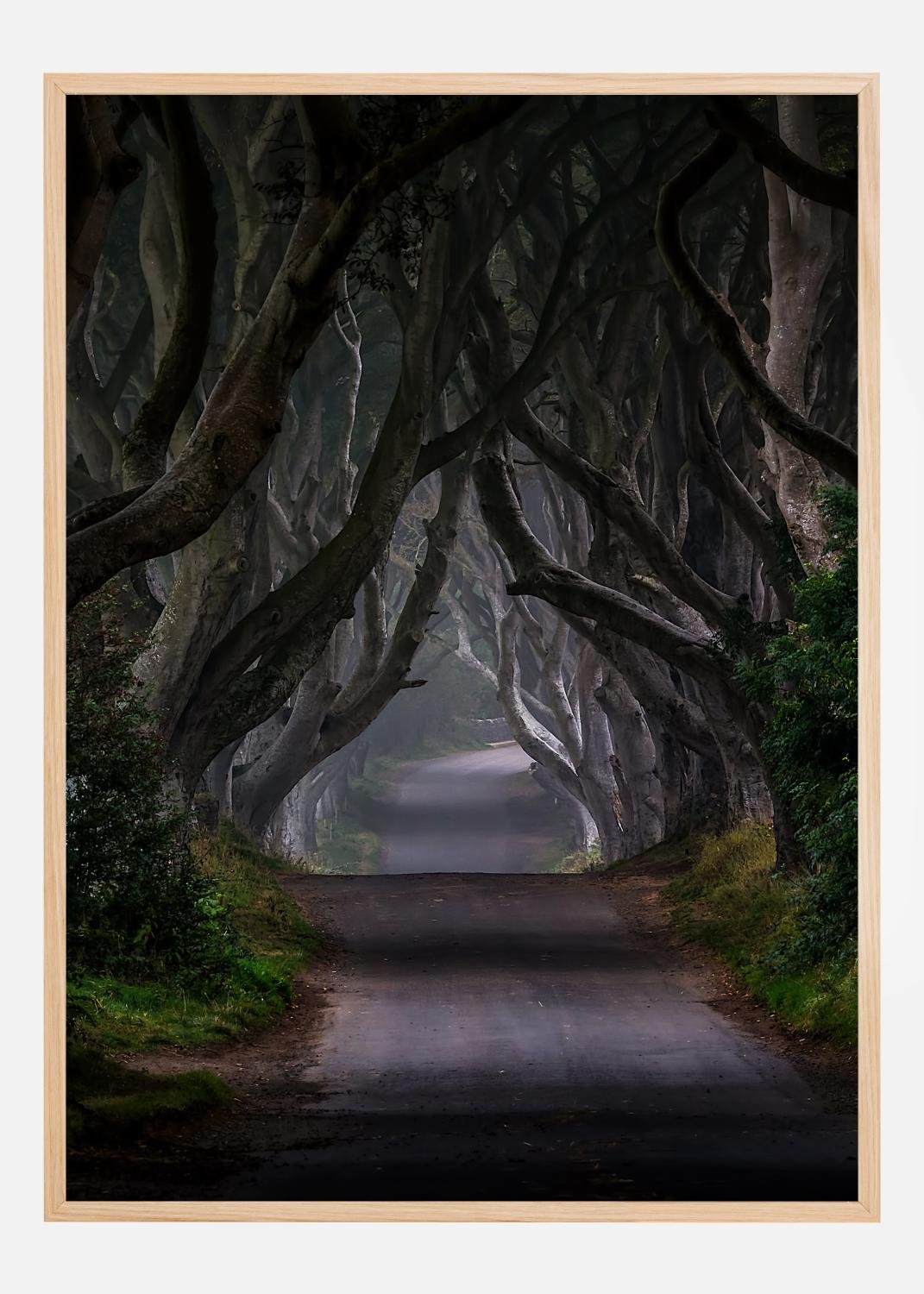 Product Image for The Dark Hedges  Magic road Plakat (21x29.7 cm (A4))