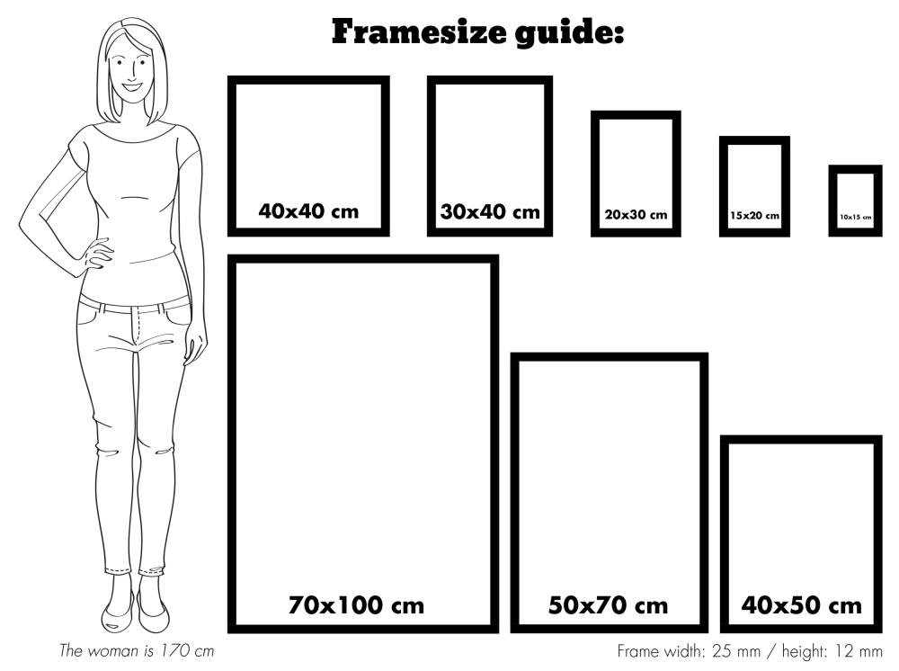 Ramme Trendline Hvid 22,7x50 cm