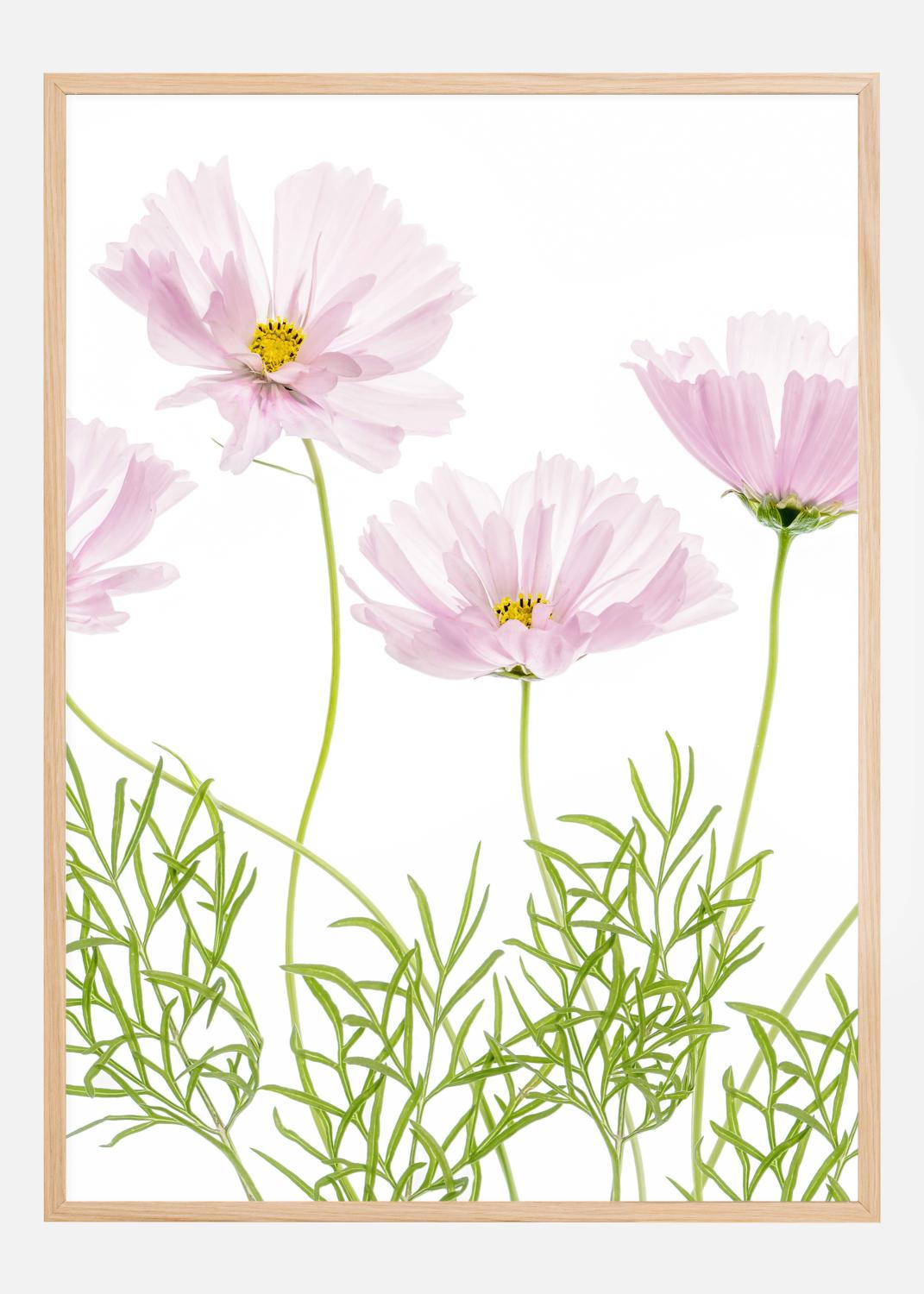 Product Image for Cosmos Cupcake Plakat (21x29.7 cm (A4))