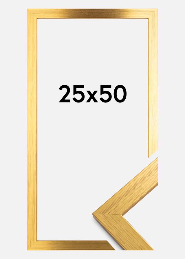 Ramme Gold Wood Akrylglas 25x50 cm