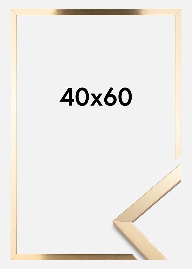 Ramme Trendy Guld 40x60 cm