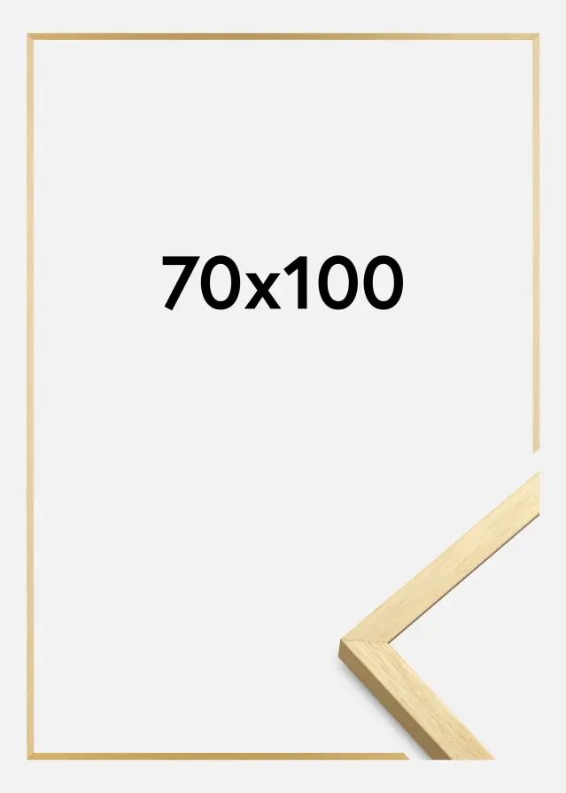 Ramme Chair Guld 70x100 cm